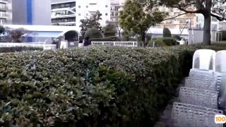 免费国产麻豆精品,成人视频高清免费观看